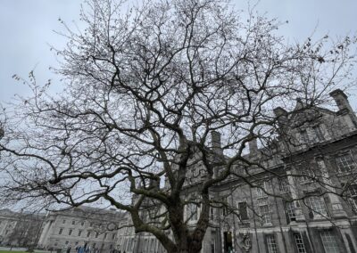 IMG 0414 400x284 - Wycieczka kulturowo-językowa do Irlandii i Irlandii Płn. | 2024