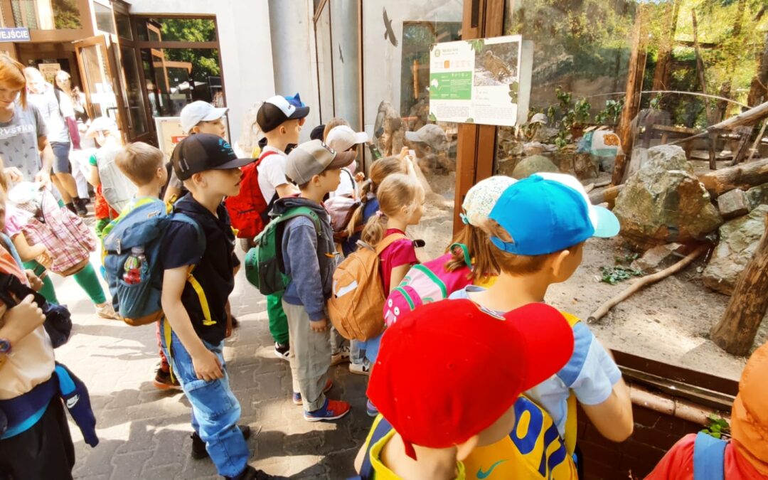 Mentisowe zerówki w warszawskim ZOO